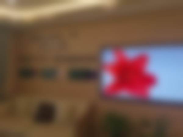 济南丽合医疗美容医院李馨医生擅长项目