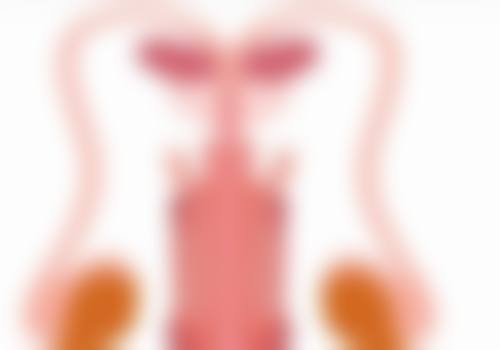 湖北十堰四姐妹医疗整形美容诊所基本信息