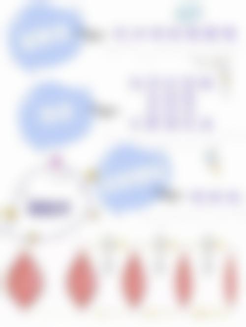 除了上述方案，还有哪些其他治疗方法呢？