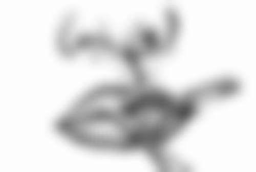 海口段碧辉医疗美容诊所基本信息