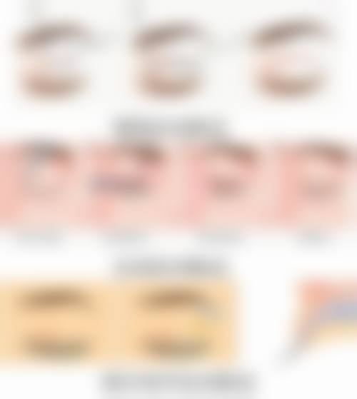 乐提葆(Letybo)有哪些特性和适用对象?