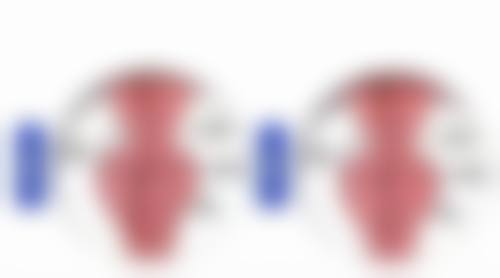 许昌丽娜整形医院柴高尚医生擅长项目