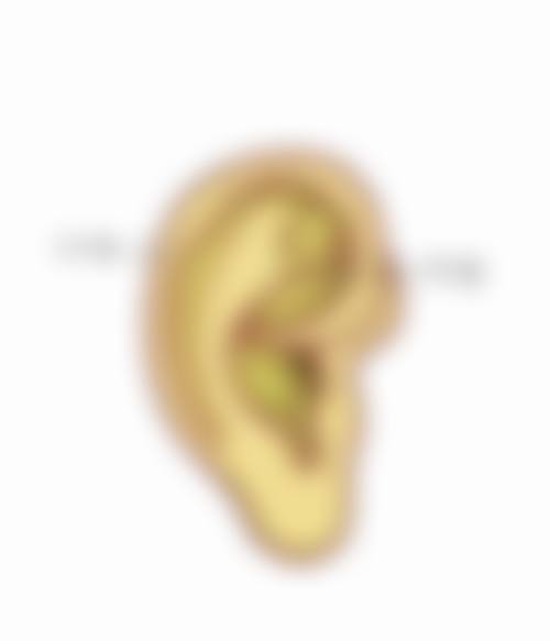 广州中山大学孙逸仙纪念医院王永振医生社会职称