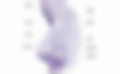 如何能够丰太阳穴？揭秘3种安全有效的医美方法！哪种方法适合你？有啥注意事项？ 