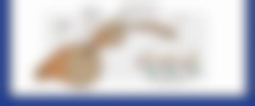 综合来看四川成都美容整形医院私密科李挺的实力排名