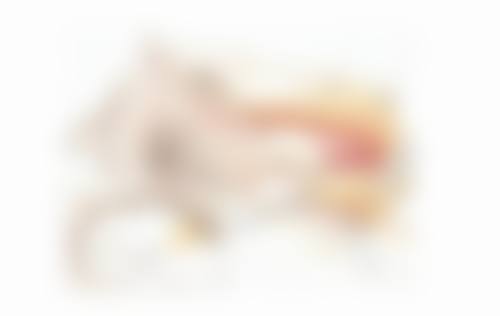 东莞华美医疗美容罗日云医生光子嫩肤技术怎么样？