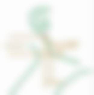 北京圣嘉新医疗美容医院李春锐医生牙齿矫正技术怎么样？