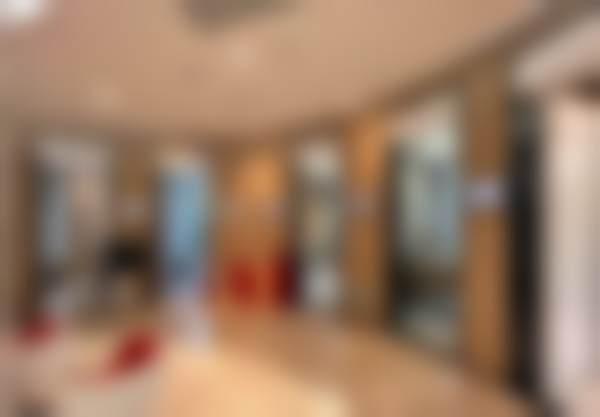 广州市赵成利主攻项目是什么？深入探究其专业领域聚焦的重点方向 