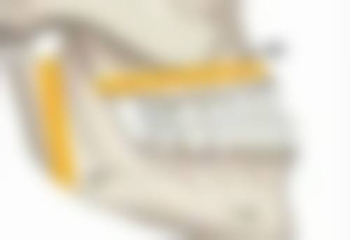 日常护理有哪些技巧呢?