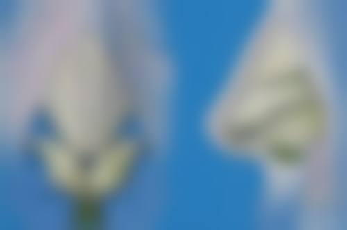 辽宁中航星美医疗美容门诊部口碑评价怎么样？