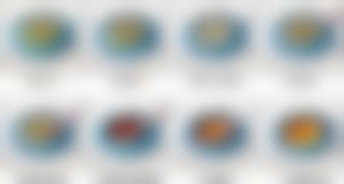 韩国布莱克毛发正规吗？