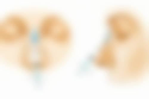 湖南师范大学第二附属医院烧伤整形科口碑评价怎么样？