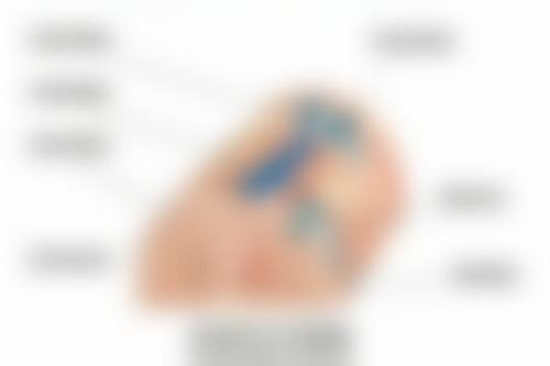 如何评估消疤痕药膏的成效呢？