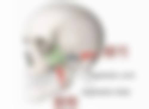 2023年这些进口隆鼻假体品牌受欢迎的原因是什么？