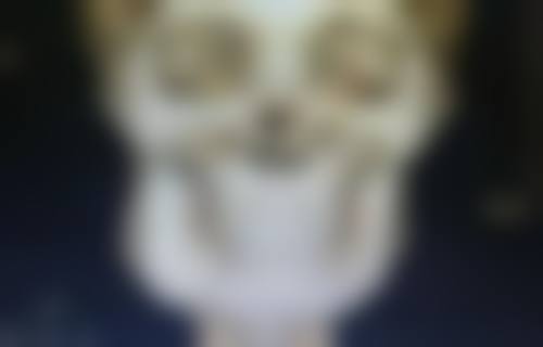 吸脂肚子有危险吗？揭秘安全性与术后效果的真实真相！正规操作下危险可控且效果显著？ 