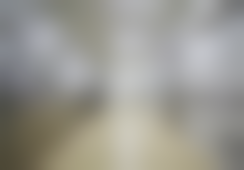 上海仁爱医院(整形科)潘舒亚医生擅长项目