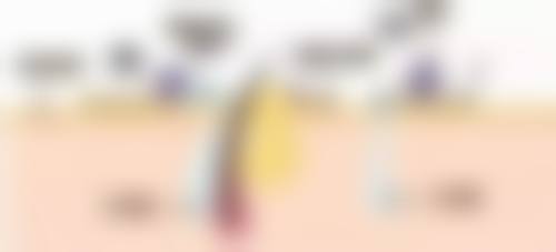 西安云湖医疗美容诊所基本信息