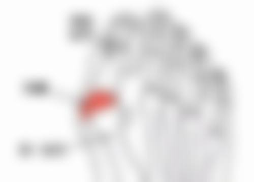 常熟瑞丽美贝尔美容医院王大明医生预约挂号指南