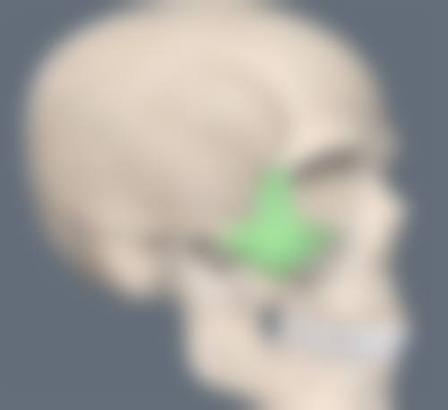 肇庆市雪罗兰美容院基本信息