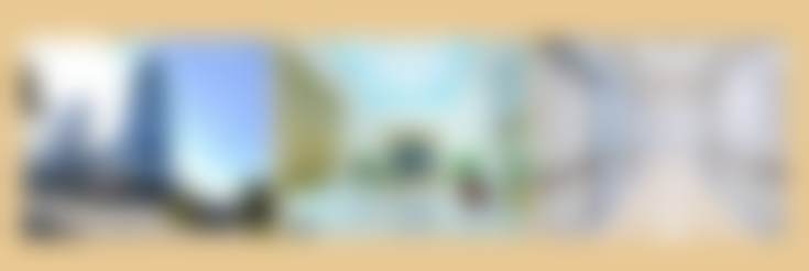 重庆星荣整形外科医院胡志奇医生擅长项目