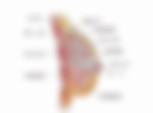 颧骨宽整形怎么做？揭秘专业医生的五大建议与注意事项！术后如何护理恢复快？ 