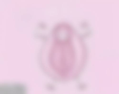 影响维持时间的核心因素有哪些?