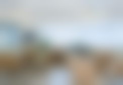 重庆星荣整形外科医院黄金龙医生患者评价