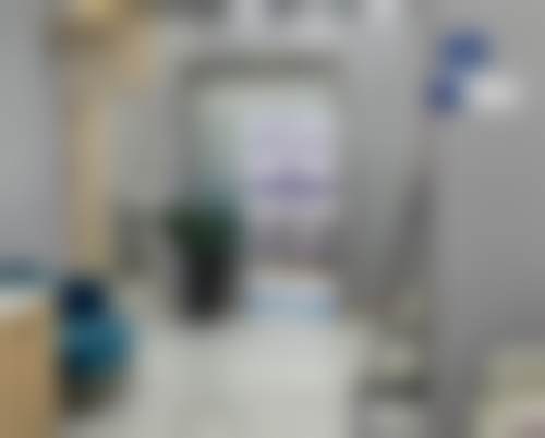 长春碧莲盛植发医生介绍