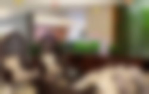 昆山星范医疗美容门诊部基本信息