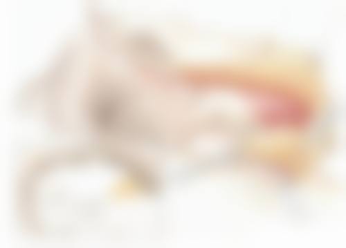 郑州诺颜一生医疗美容门诊部高雪莹医生光电美肤技术怎么样？