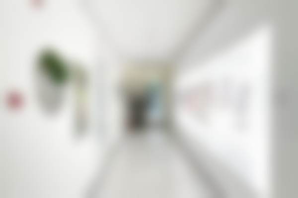 北京纯脂医疗美容门诊部冯斌医生预约挂号指南