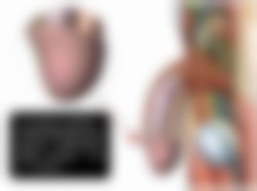 沧州水芙蓉医疗美容诊所医生介绍