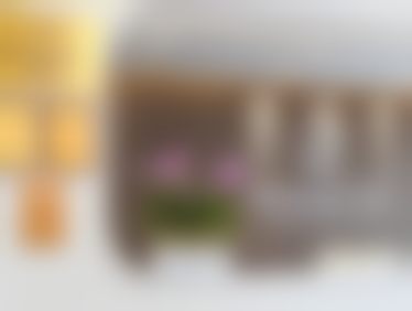 北京张菡丽格医疗美容诊所张鑫医生擅长项目