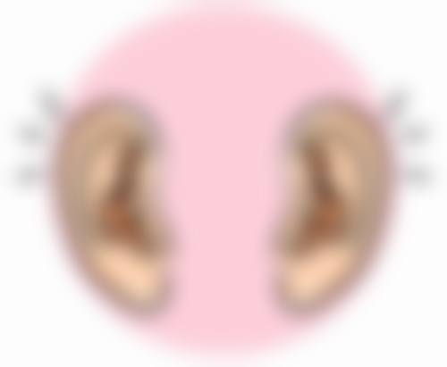 lsw皮肤科基本信息