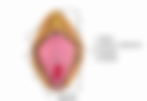 备孕期间饮食有什么要求？