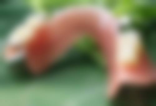 平台骨干医生推荐的通用药膏都有什么特点？