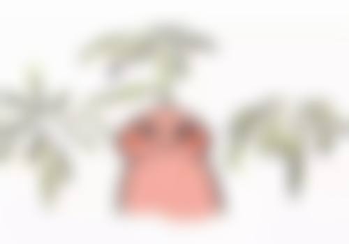 秦皇岛巧致整形美容医院周海燕医生患者评价