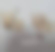 沈阳沈河贲驰医疗美容诊所基本信息