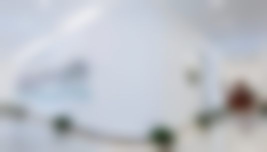 北京纯脂医疗美容门诊部王自谦：个性化定制的审美