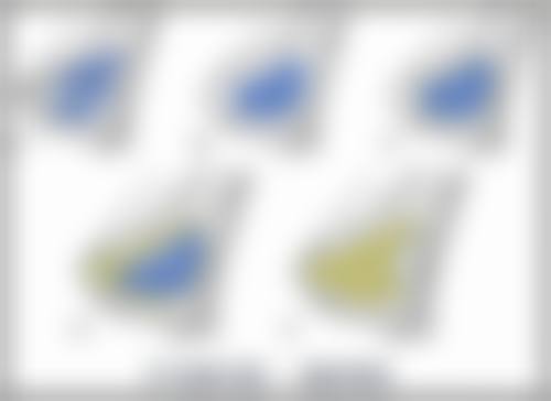 为什么不同骨干医生建议的修复时间有差异？
