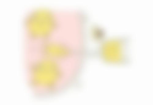 影响手术成效维持时间的核心因素有哪些呢？