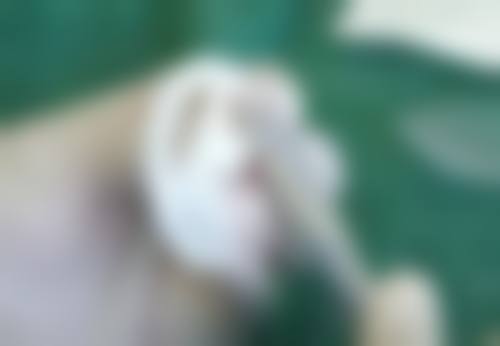 邵东微美医疗美容门诊部怎么预约