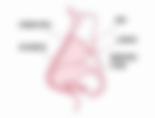 达州双均整形医院收费价格表