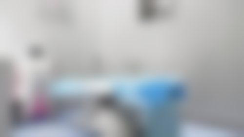擅长项目详解
