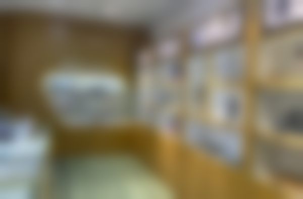 七、结语:选择江苏省蔡磊琳主攻项目是什么,就是选择正规与安心