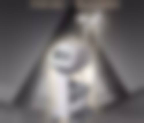 特色项目与专精优势:主要看哪些方面?