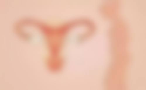 预约优惠活动