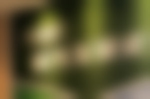 擅长项目详解