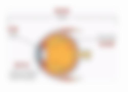 服务流程与理念:预约便捷,全程关怀