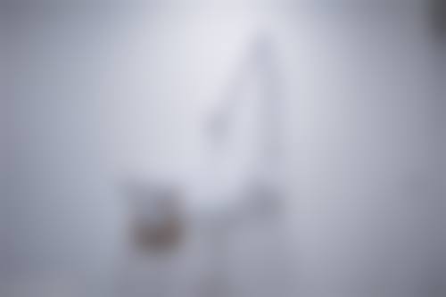 常见问题解答(FAQ)
